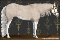 Horse Color:Silver Grullo Roan Sabino Splash 