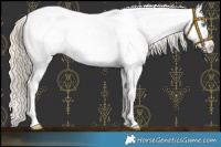 Horse Color:Smoky Creme Roan Dun Appaloosa