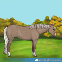 Horse Color:Silver Grullo 