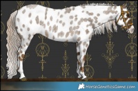 Horse Color:Chocolate Palomino Roan Leopard 