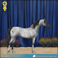 Horse Color:Brown Roan Tobiano 