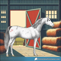 Horse Color:Brown Tobiano Snowflake Varnish 