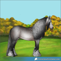Horse Color:Gray White Spotted Brown 