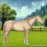 Horse Color:Gold Champagne Rabicano