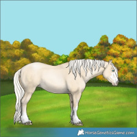 Horse Color:Silver Sable Cream Champagne Pearl Dun Rabicano 