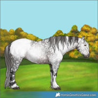 Horse Color:Gray Brown Tobiano Snowcap Rabicano 