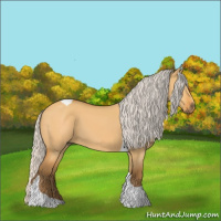 Horse Color:Silver Buckskin Dun Tobiano 