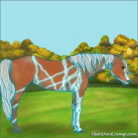 Horse Color:Thunderstruck Silver Bay 