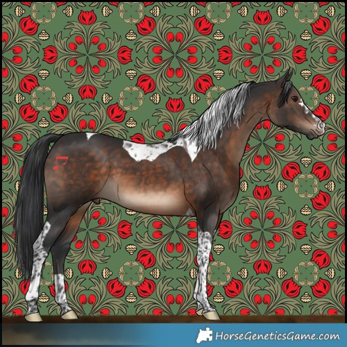 Horse Color:Brown Tobiano 