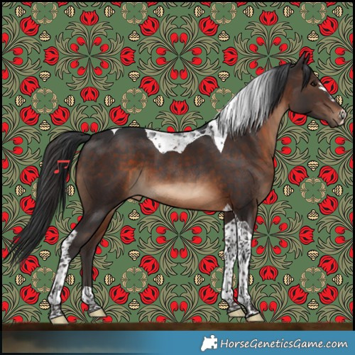 Horse Color:Brown Tobiano 