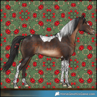 Horse Color:Brown Tobiano 