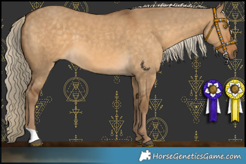 Horse Color:Chocolate Palomino Dun 