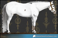 Horse Color:Brown Near Fewspot 
