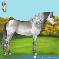 Horse Color:Gray Grullo Mushroom Splash Tobiano 