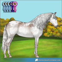 Horse Color:Gray Liver Red Dun Mushroom Splash Tobiano