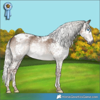 Horse Color:Gray Liver Red Dun Mushroom Splash Tobiano 