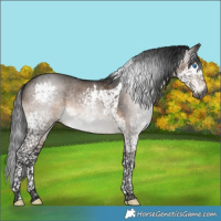 Horse Color:Gray Brown Dun Mushroom Splash Tobiano 