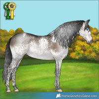 Horse Color:Gray Brown Dun Mushroom Splash Tobiano 