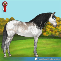 Horse Color:Gray Brown Dun Mushroom Splash Tobiano 