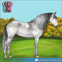 Horse Color:Gray Grullo Mushroom Splash Tobiano 