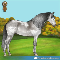 Horse Color:Gray Grullo Mushroom Splash Tobiano 