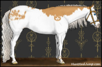 Horse Color:Silver Buckskin Roan Splash Varnish 