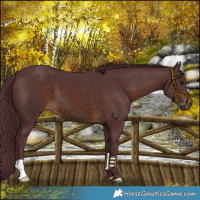Horse Color:Chocolate Brown 