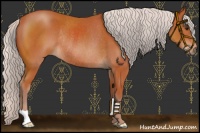 Horse Color:Chocolate Silver Brown Rabicano 