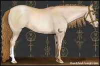 Horse Color:Chestnut Pearl