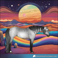 Horse Color:Gray Brown Roan 