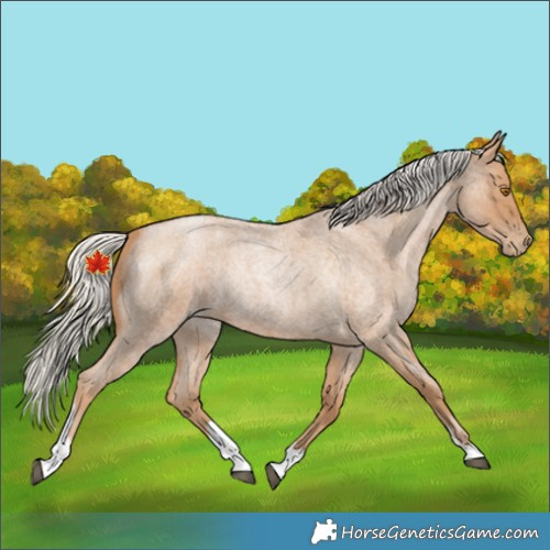 Horse Color:Silver Blue Roan Pearl Tobiano Frame 