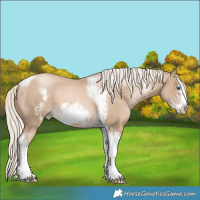 Horse Color:Chocolate Palomino Pearl Tobiano Frame and Chocolate Palomino Pearl Tobiano Frame