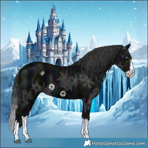 Horse Color:Midnight Black Ice Splash 