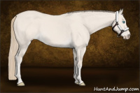 Horse Color:Smoky Creme Dun 