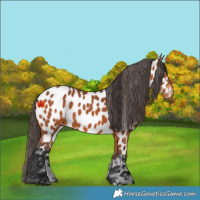 Horse Color:Bay Near Leopard