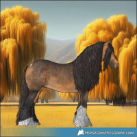 Horse Color:Buckskin Tobiano 