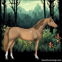 Horse Color:Chestnut Tobiano 