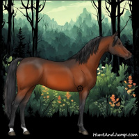Horse Color:Brown 