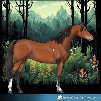 Horse Color:Bay Tobiano