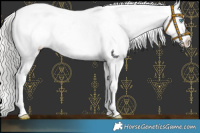Horse Color:Cremello Leopard