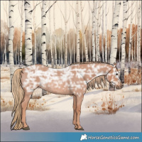 Horse Color:Red Ice Roan Rabicano 