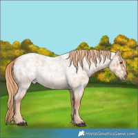 Horse Color:Red Ice Roan Rabicano 