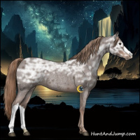 Horse Color:Liver Red Ice Roan Rabicano 