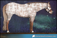 Horse Color:Red Ice Roan Rabicano