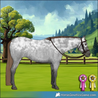 Horse Color:Liver Red Ice Roan 