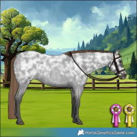 Horse Color:Liver Red Ice Roan 