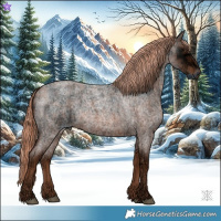 Horse Color:Red Ice Roan Rabicano