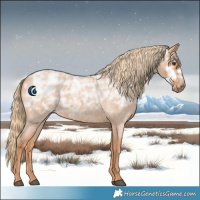 Horse Color:Red Ice Roan Rabicano 