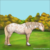 Horse Color:Red Ice Roan Rabicano 