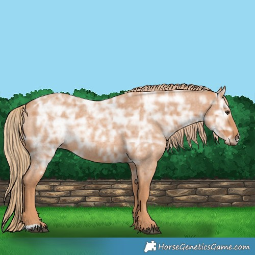Horse Color:Red Ice Roan Rabicano 